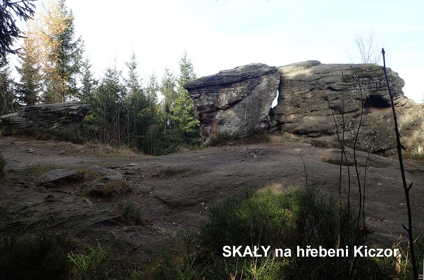 img00042.jpg