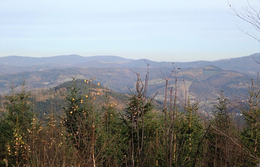 img00047.jpg