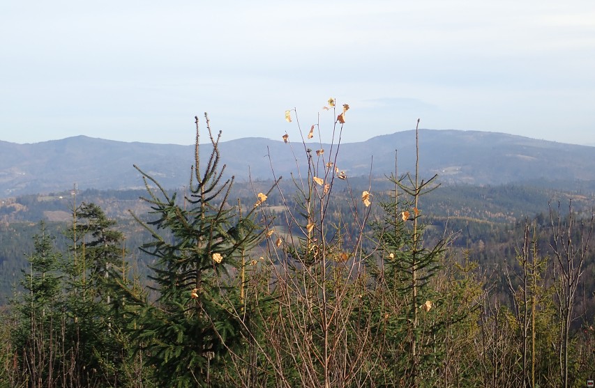 img00048.jpg