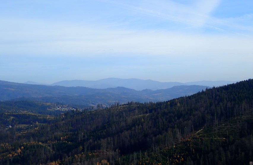 img00052.jpg