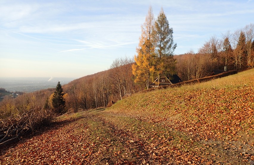 img00063.jpg