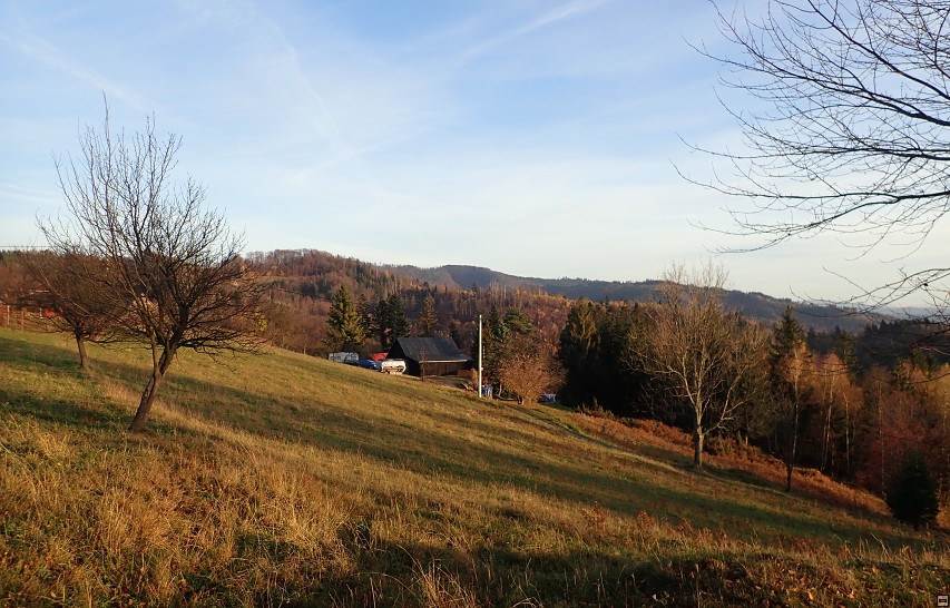 img00065.jpg