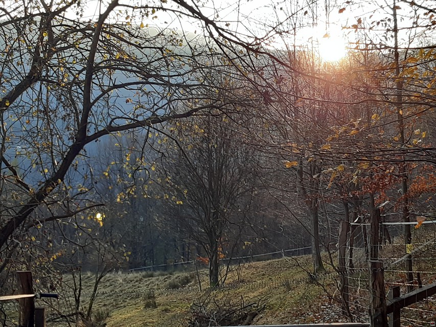 img00003.jpg