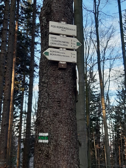 img00007.jpg