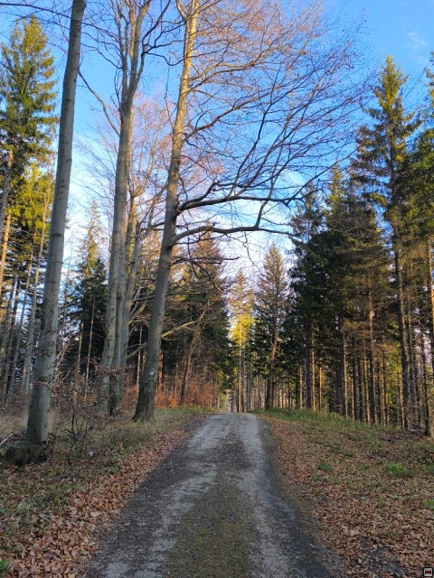 img00008.jpg