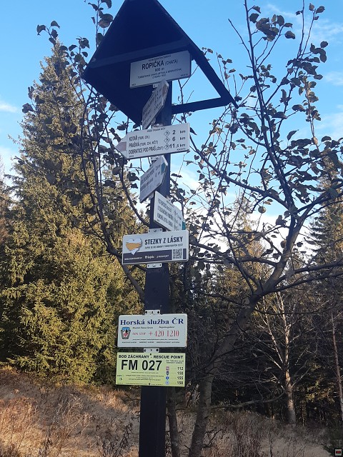 img00011.jpg