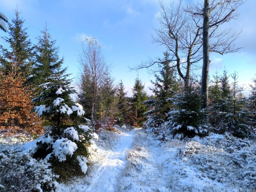 img00026.jpg