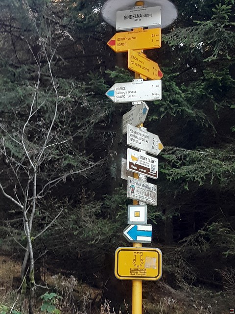img00028.jpg