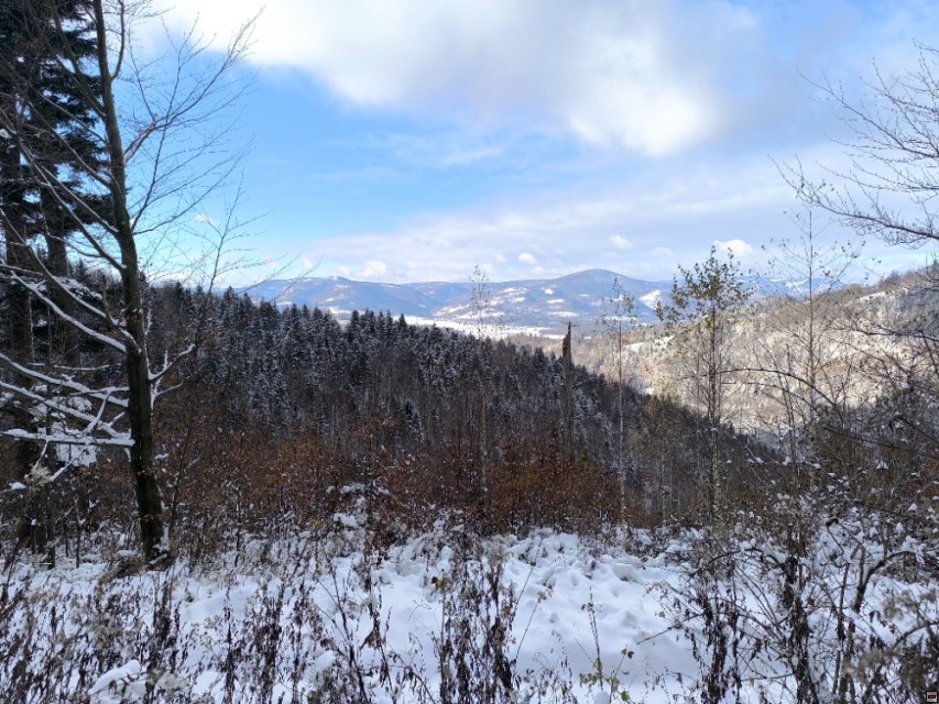 img00003.jpg