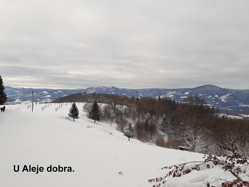 img00011.jpg