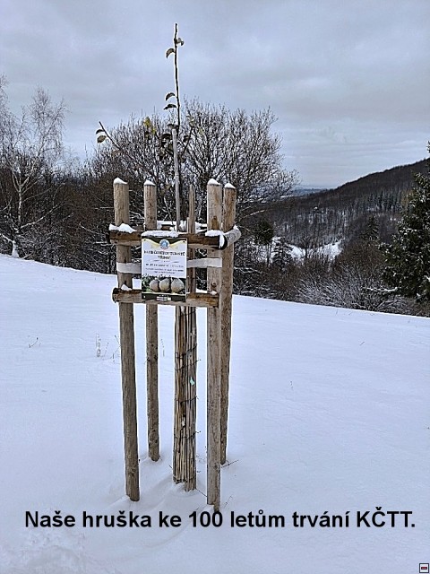 img00019.jpg
