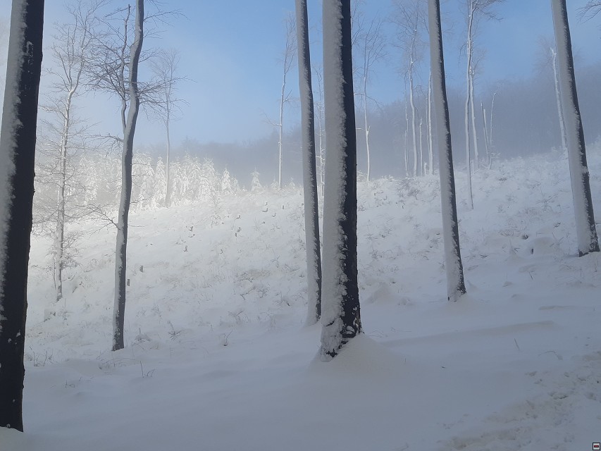 img00011.jpg