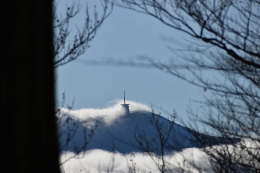img00005.jpg