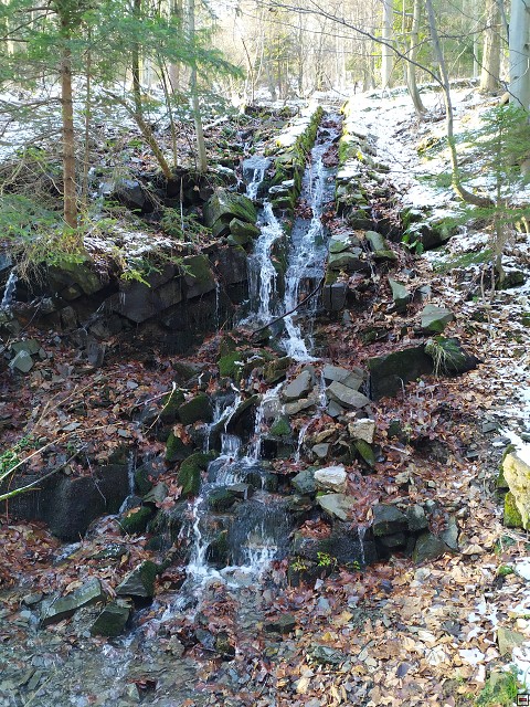 img00004.jpg