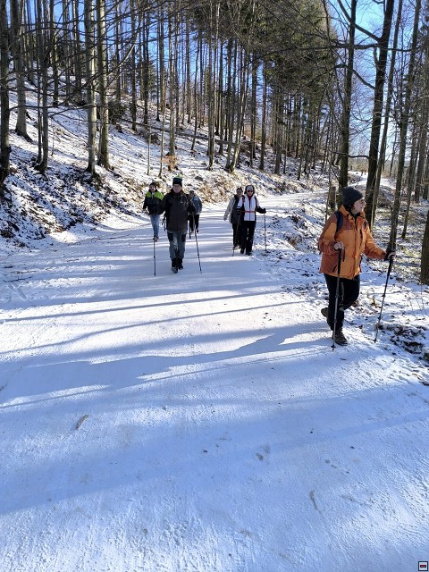img00005.jpg