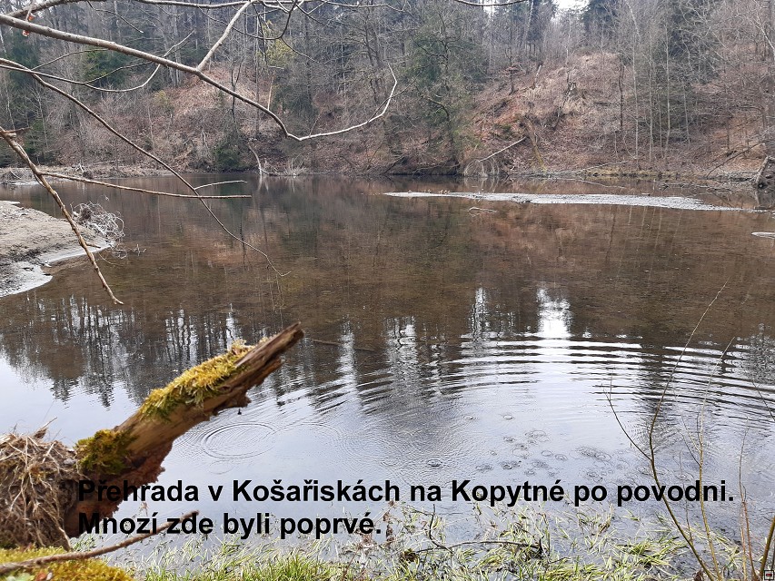 img00027.jpg
