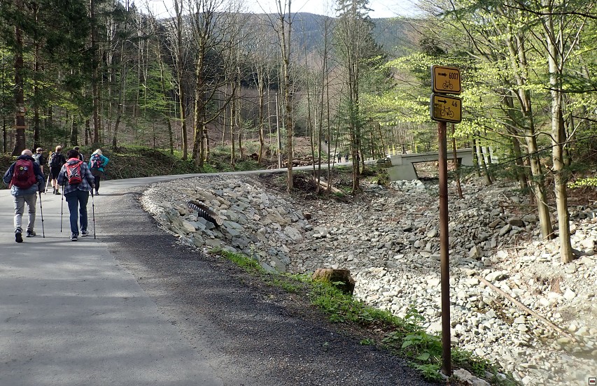 img00007.jpg