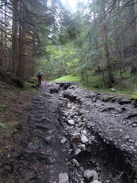 img00006.jpg
