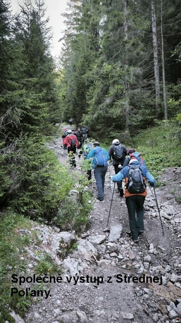 img00013.jpg