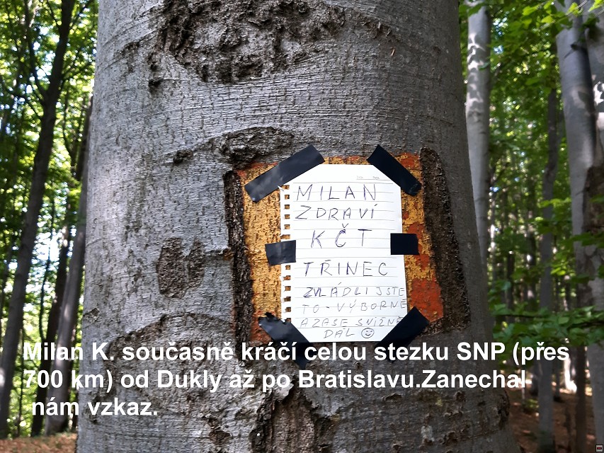 img00005.jpg