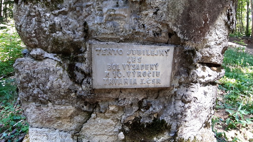 img00007.jpg