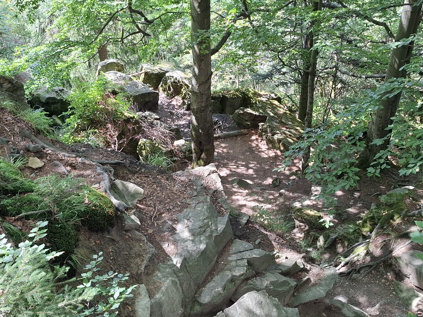 img00009.jpg