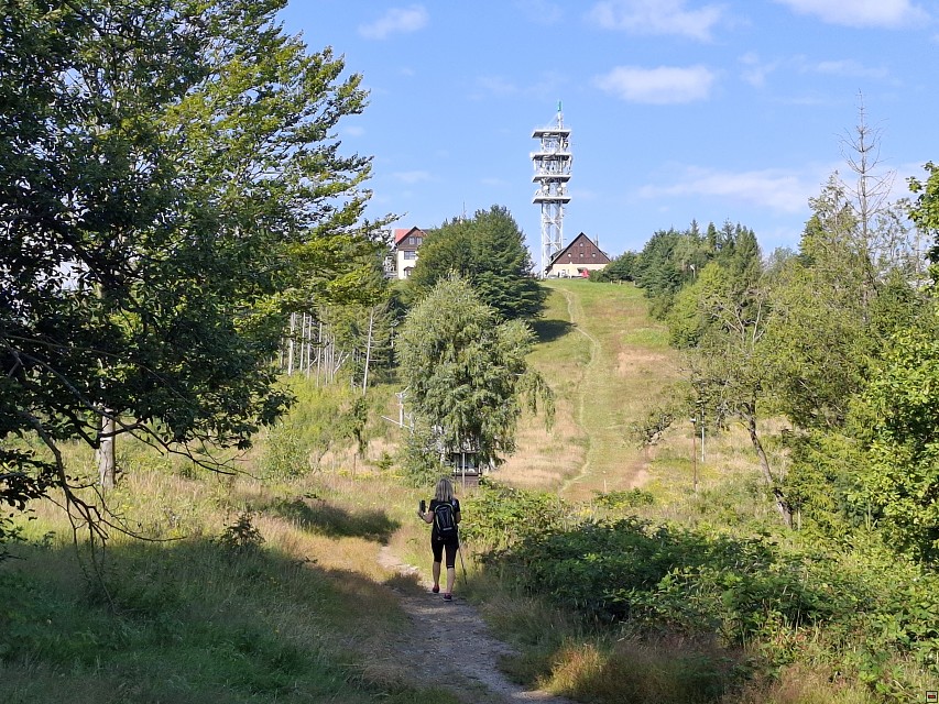 img00004.jpg
