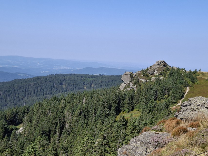img00013.jpg