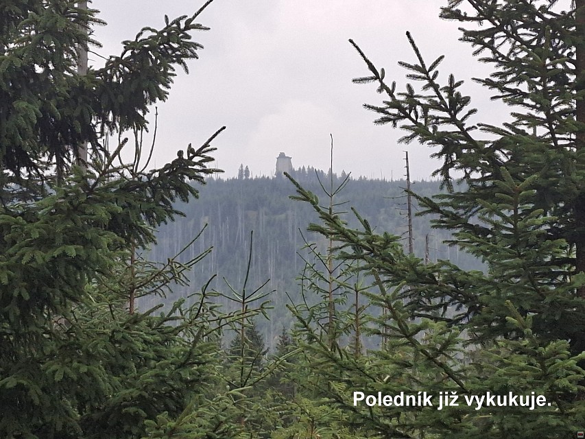 img00016.jpg