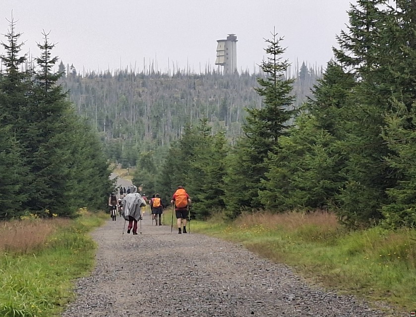 img00019.jpg