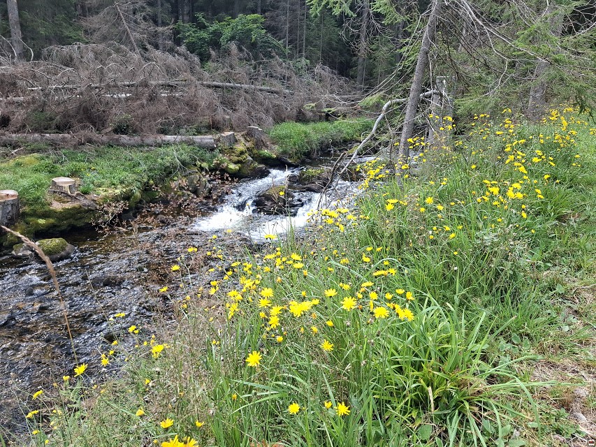 img00040.jpg