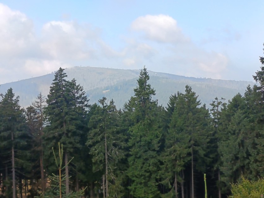 img00014.jpg