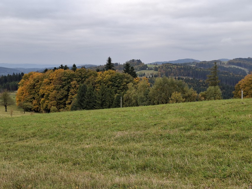 img00007.jpg