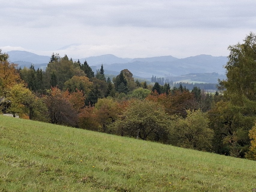 img00008.jpg
