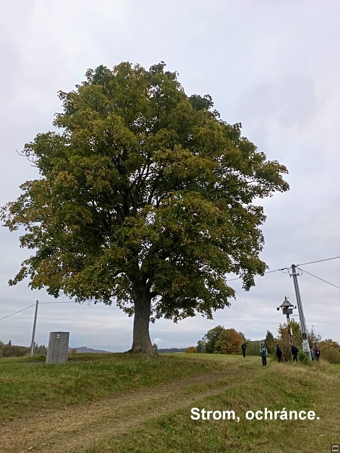 img00030.jpg