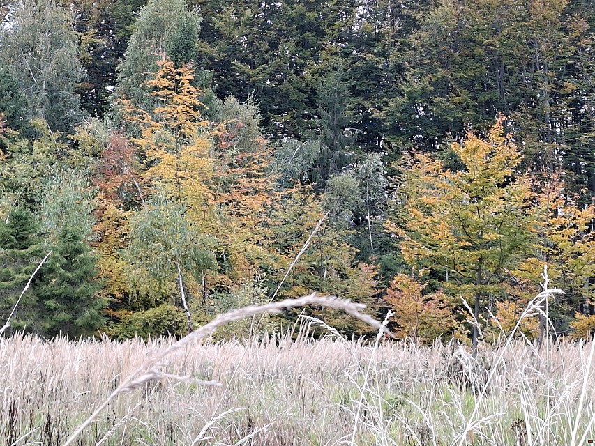 img00040.jpg