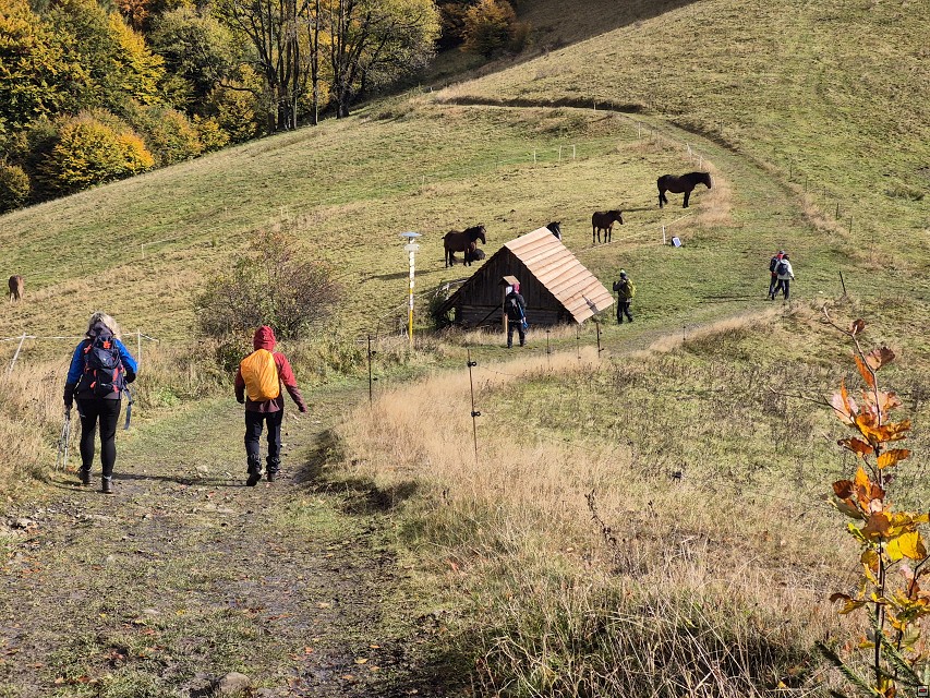img00010.jpg