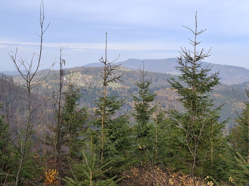 img00024.jpg