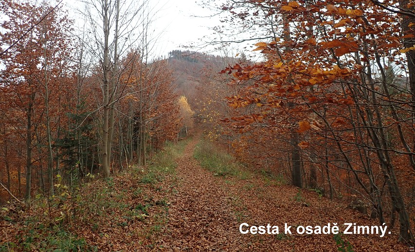 img00040.jpg