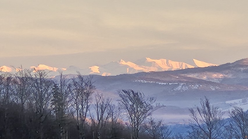 img00010.jpg