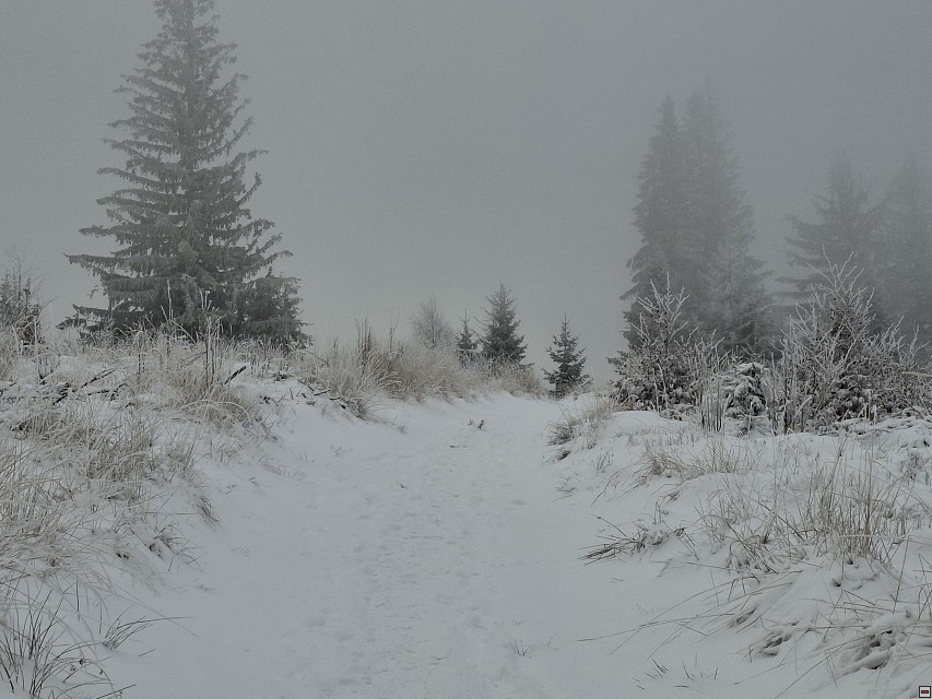 img00004.jpg