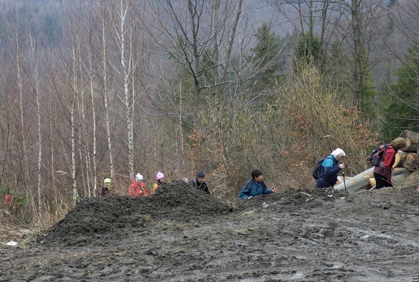 img00010.jpg
