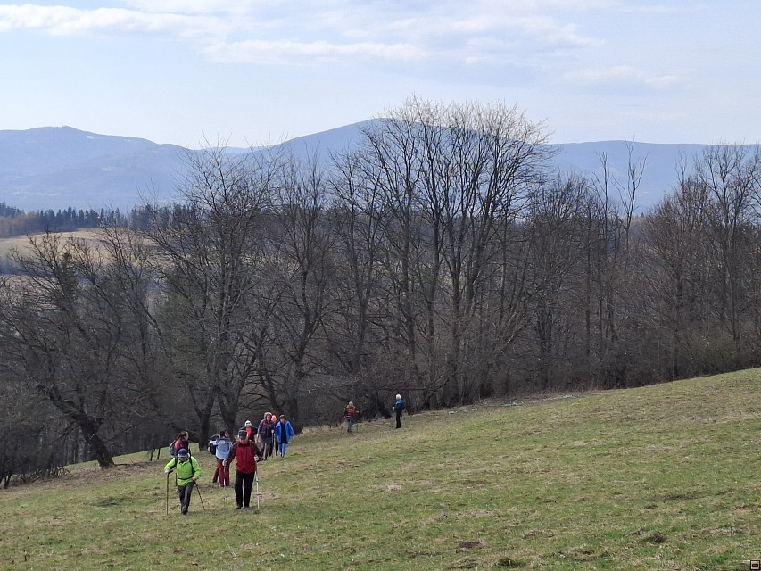 img00026.jpg