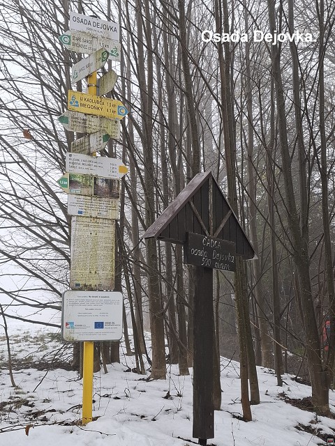 img00009.jpg