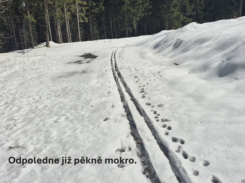 img00011.jpg