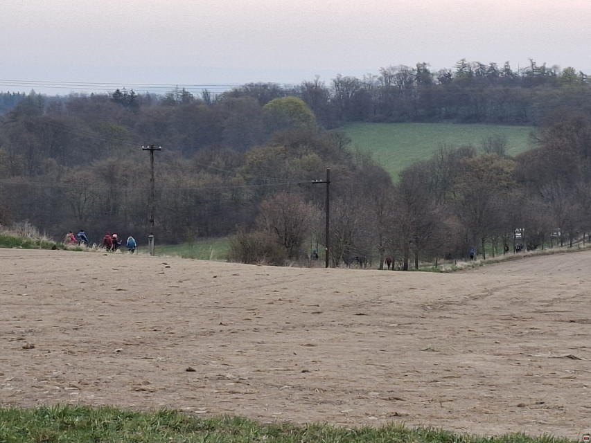 img00007.jpg