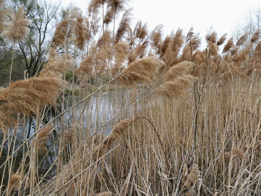 img00066.jpg