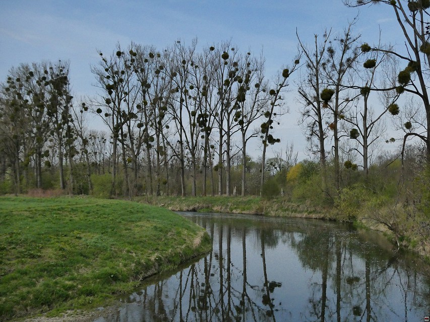 img00006.jpg