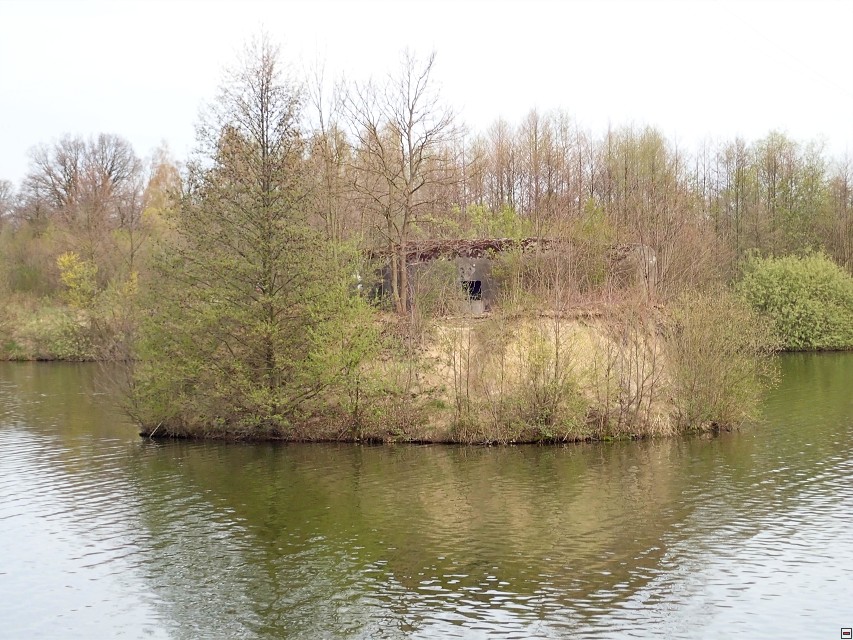 img00012.jpg