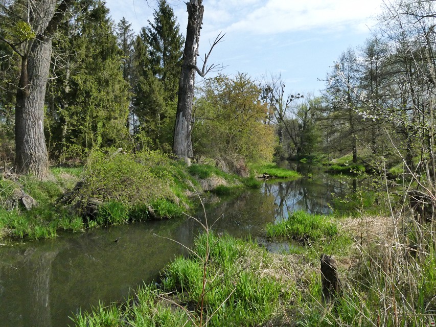 img00014.jpg